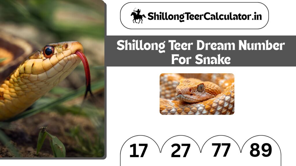 Shillong Teer Dream Number for Snake